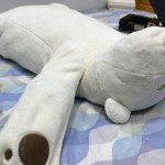 Polar-Bear