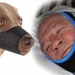 dog muzzle versus snoring chin strap