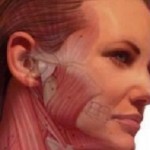 Jaw muscle weakness leading to snoring