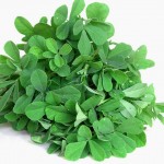 Fenugreek as Herbal Remedy for Snoring.jpg