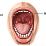 Advanced Researches On Snoring Causes