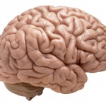 Can Sleep Apnea Cause Brain Damage