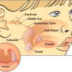 ways to prevent snoring